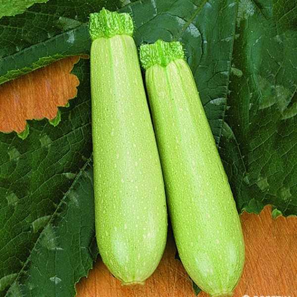 600_pnmomztwf0_eskendarny-.jpg