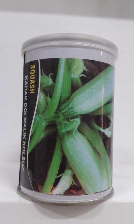 kabak tohumu 100 gr