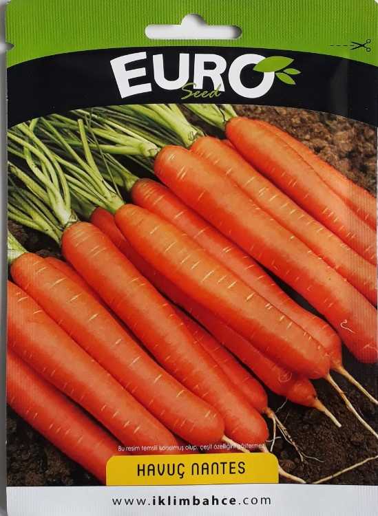 HAVUÇ.jpg