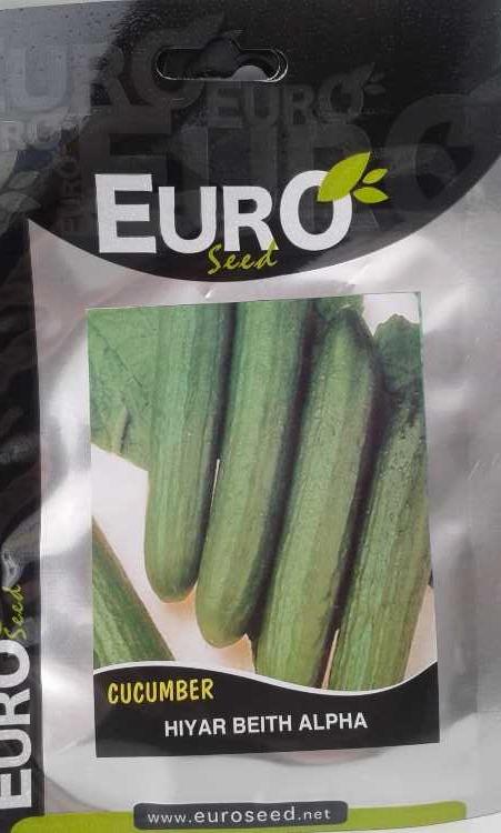 hıyar beith alpha.jpg