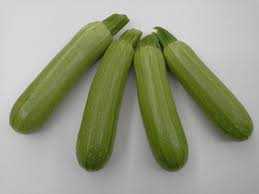 duru f1 kabak tohumu