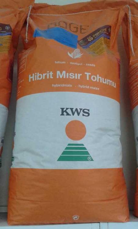KWS MISIR TOHUMU.jpg