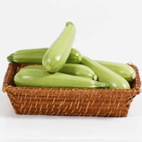 alba f1 kabak tohumu