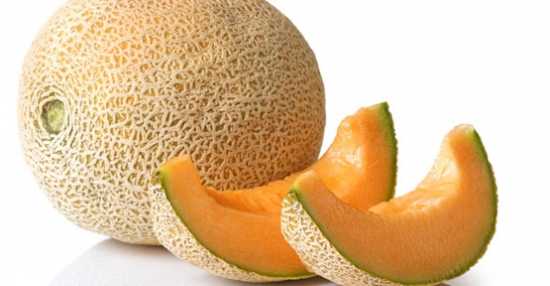 balın f1 kavun  tohumu