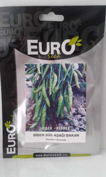 biber aşağı bakan tohumu