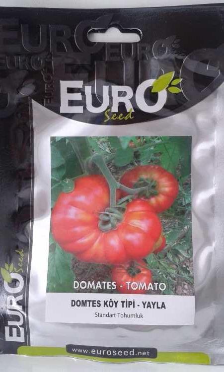 domates köy tipi tohumu