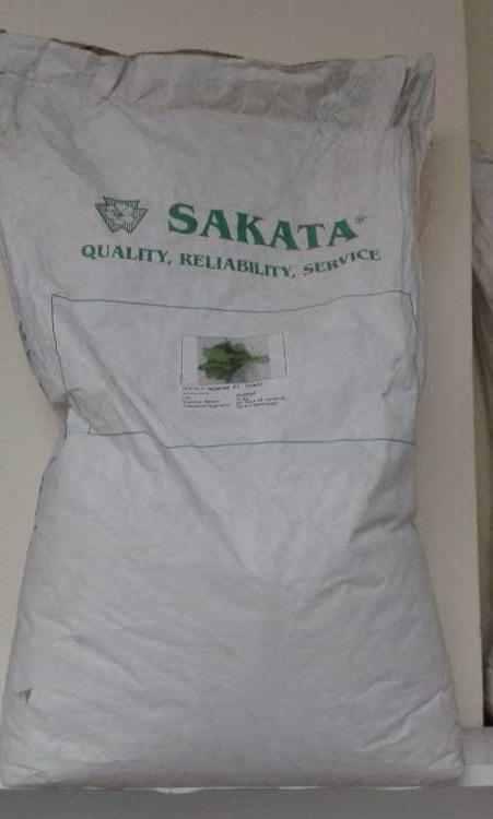 SAKATA F1 ISPANAK TOHUMU