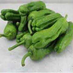 1114 BİBER -ÜÇBURUN- 1PAKET