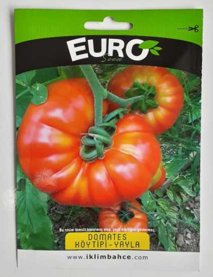 DOMATES  (KÖY TİPİ) TOHUMU