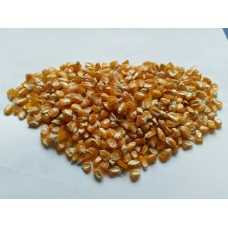 tatlı mısır tohumu