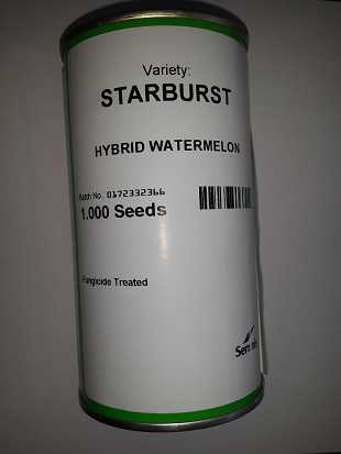STARBURST HİBRİT KARPUZ TOHUMU 1000 TOHUM