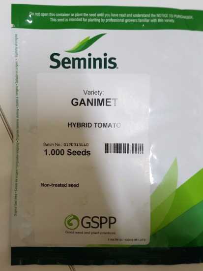 GANIMET DOMATES TOHUMU