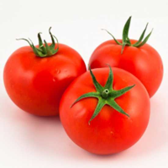 yeliz f1 domates tohumu