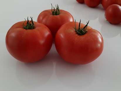 riva f1 domates tohumu