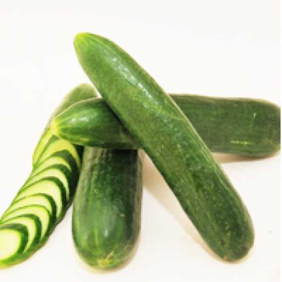 ALTAY F1 SALATALIK TOHUMU