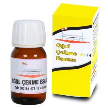 oğul çekme mahlulu 