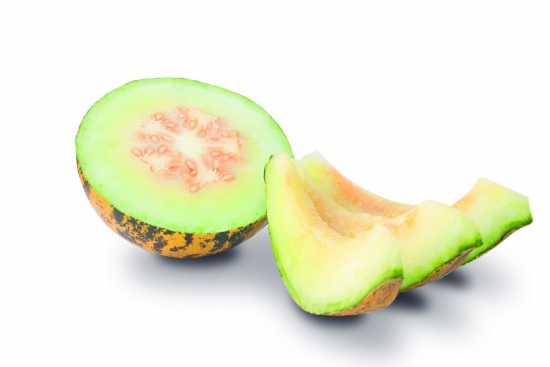 ŞÜKRÜBEY F1 KAVUN TOHUMU