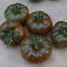 çikoköy f1 domates tohumu