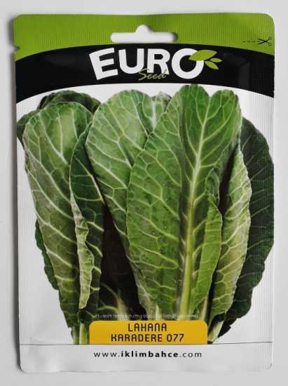 LAHANA (KARADENİZ)  TOHUMU